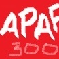 Team Page: Schenectady APAF 300